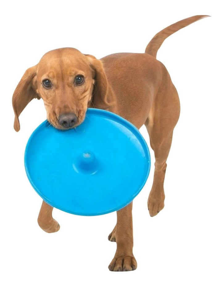 Boutique Retailer Sturdy Flying Disc For Dogs In Assorted Colours MYER
