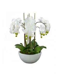 Faux Phalaenopsis Orchid in Pot Artificial Plant Flower 55cm in White
