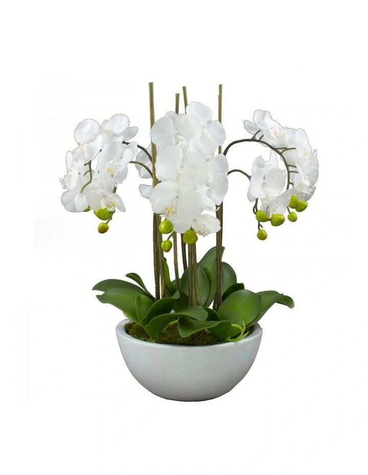 Faux Phalaenopsis Orchid in Pot Artificial Plant Flower 55cm in White image 1