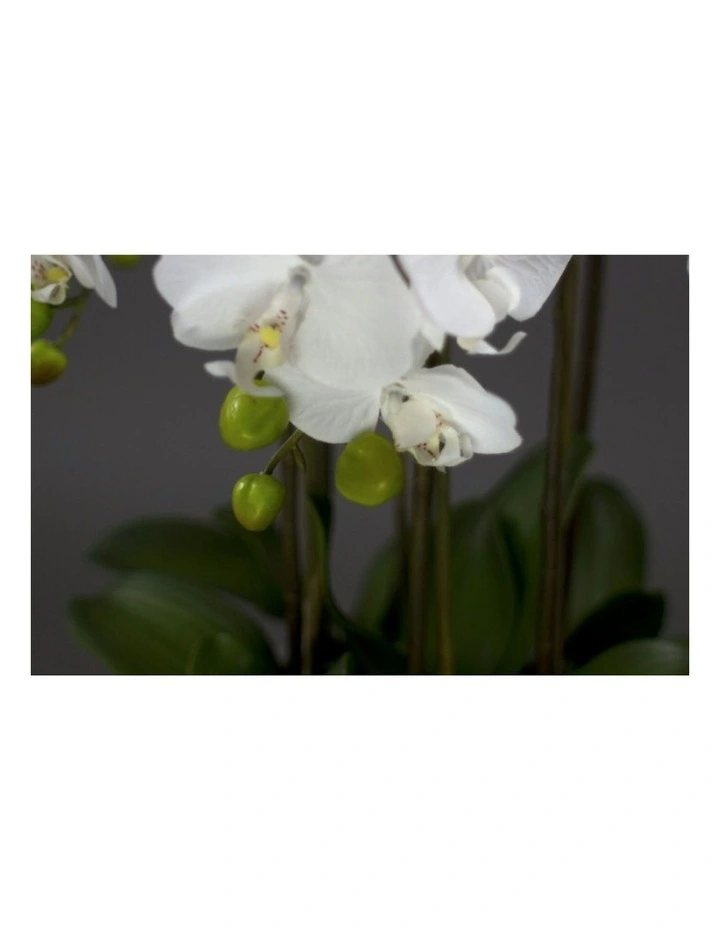 Faux Phalaenopsis Orchid in Pot Artificial Plant Flower 55cm in White image 2