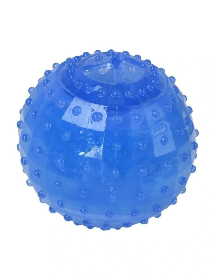 Freezy Ball Dog Toy 6.3cm in Blue image 1