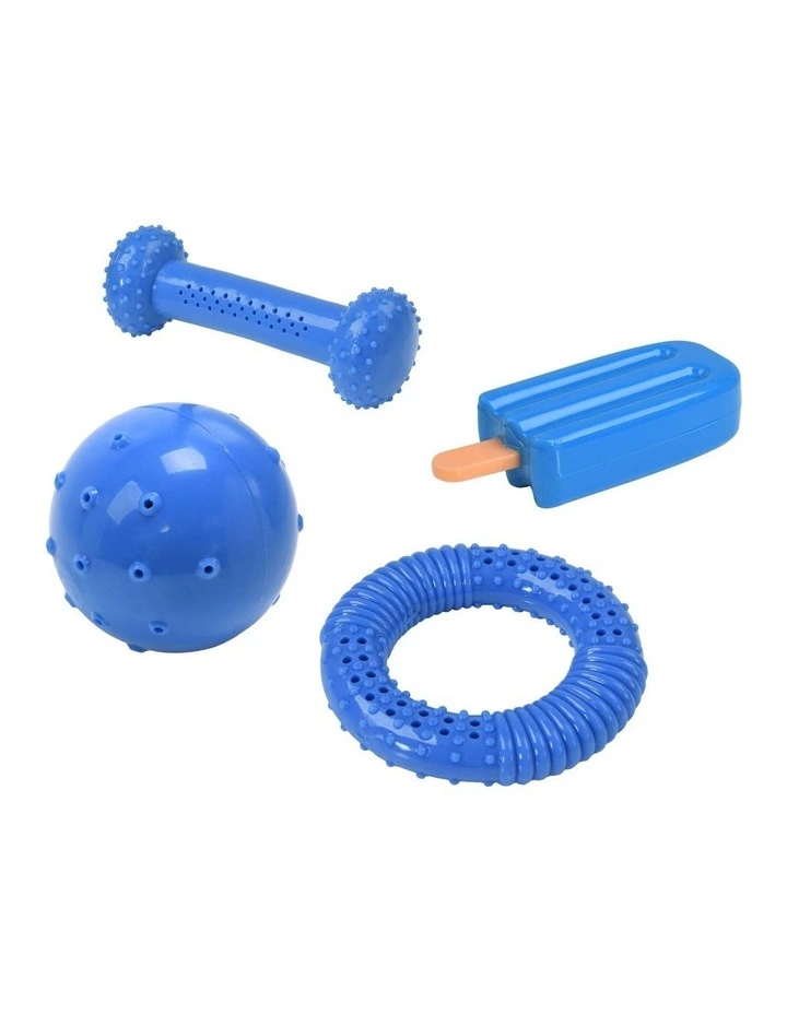 Thirst-Quencher Summer Pet Toys 4 Piece Set in Blue image 1