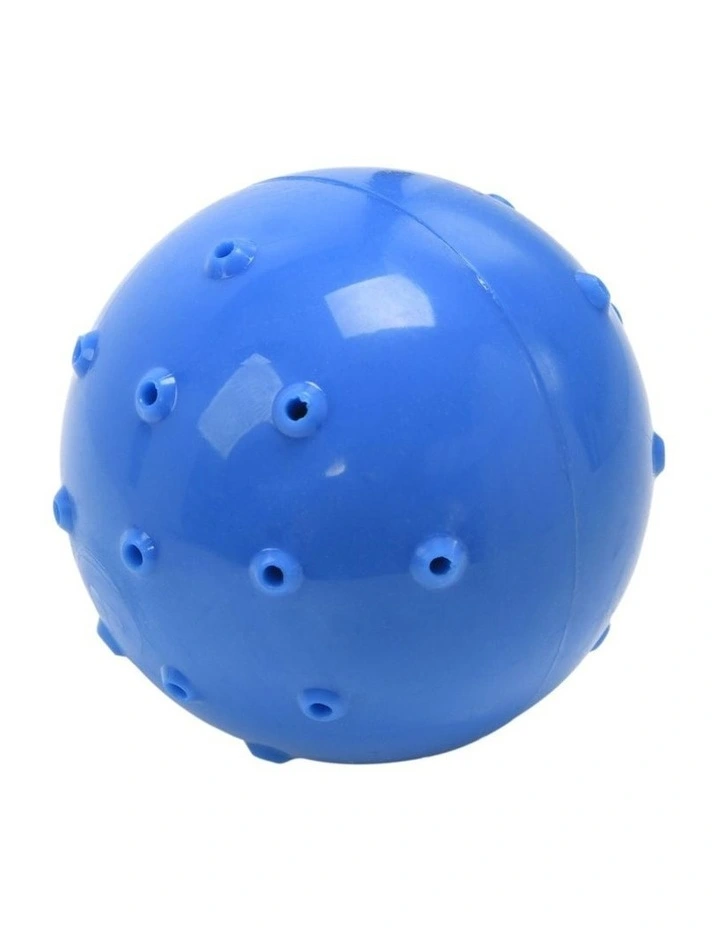 Thirst-Quencher Summer Pet Toys 4 Piece Set in Blue image 4