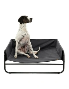 High Walled Outdoor Trampoline Dog Bed in Black