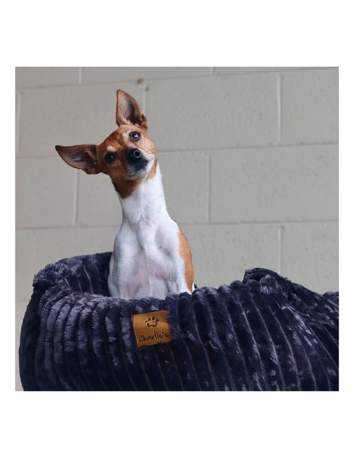 Ascher Plush Corduroy Square Dog Bed in Grey image 7