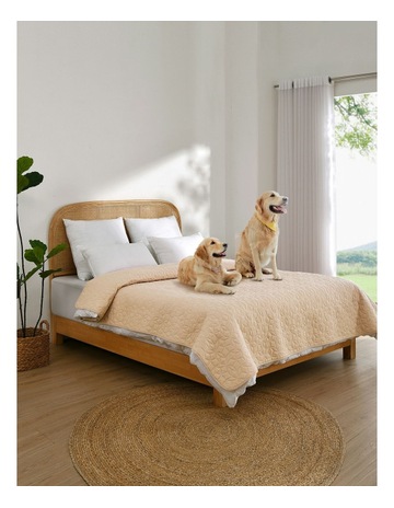 Oatmeal colour