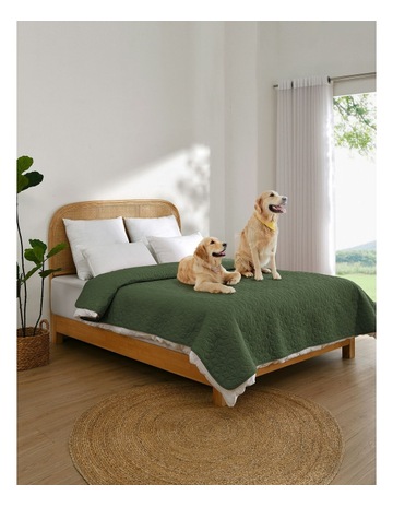 Olive colour