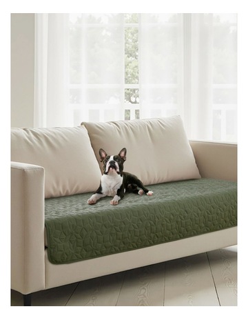 Olive colour