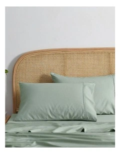 Dreamaker 1500TC Cotton Rich Pillowcase Twin Pack in Sage
