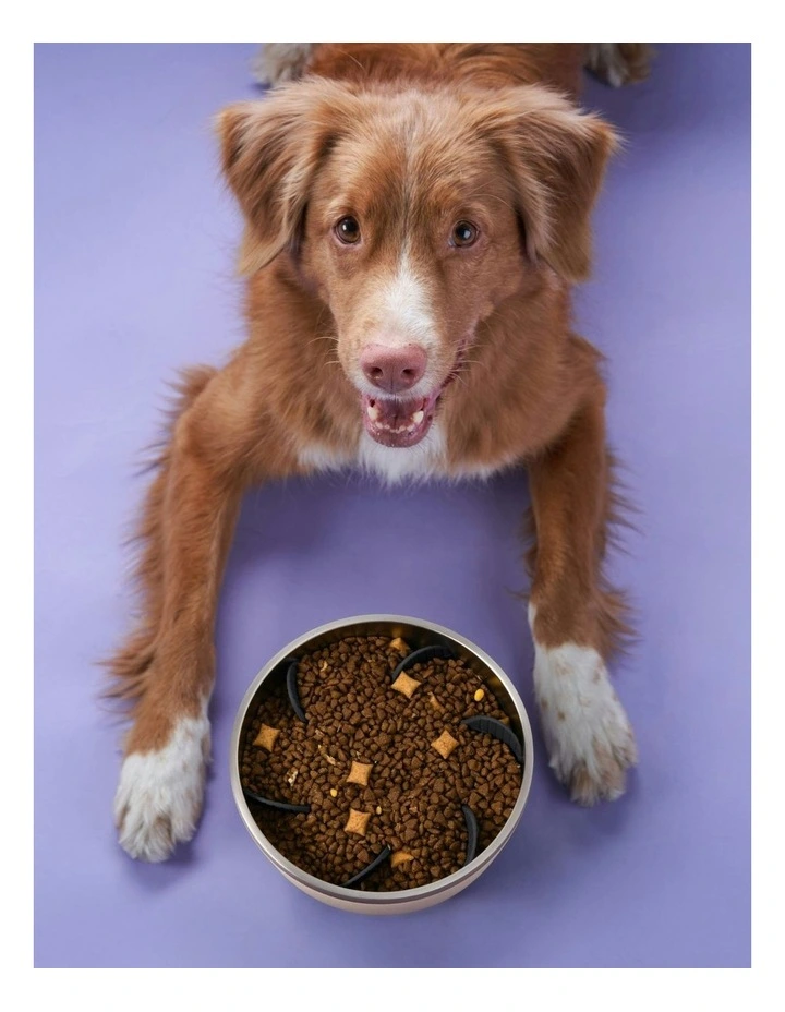 Duro Double Wall Stainless Steel Dog Bowl with Removable Slow Feeder Attachment Cream image 2