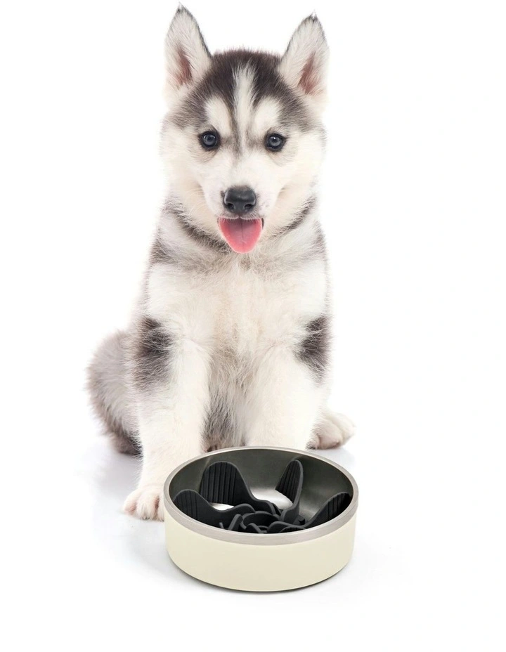 Duro Double Wall Stainless Steel Dog Bowl with Removable Slow Feeder Attachment Cream image 5