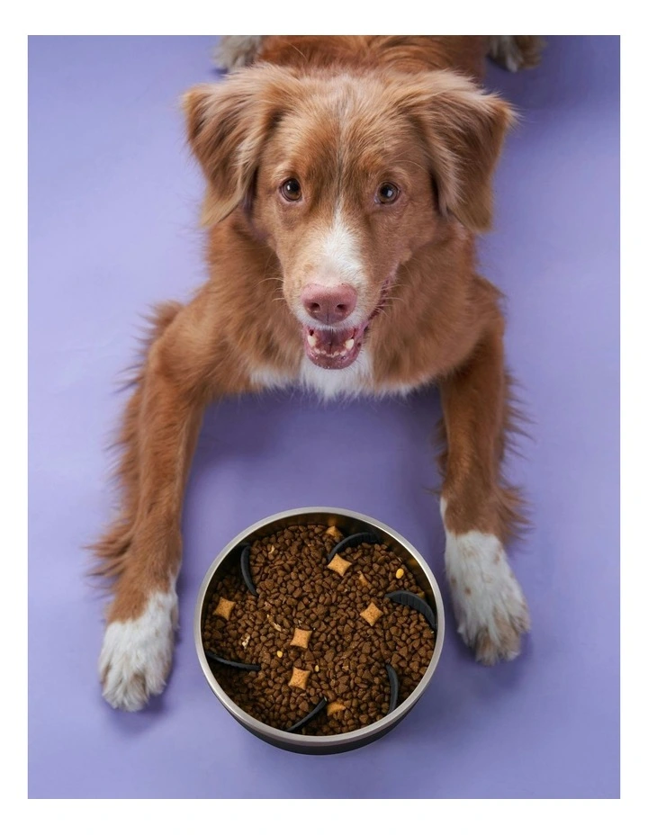 Duro Double Wall Stainless Steel Dog Bowl with Removable Slow Feeder Attachment Black image 2