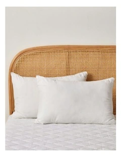 Standard Cotton Cover Down Pillow Pack Of 2 in White