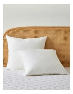 Euro Cotton Pillow Pack Of 2 in White