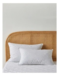 Standard Duck Feather And Down Pillow Pack Of 2 in White