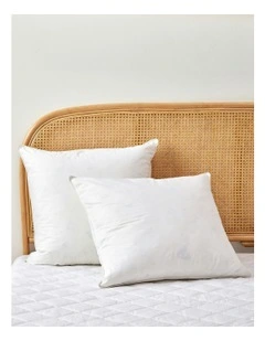 Dreamaker Goose Feather and Down Pillow Twin Pack - Euro