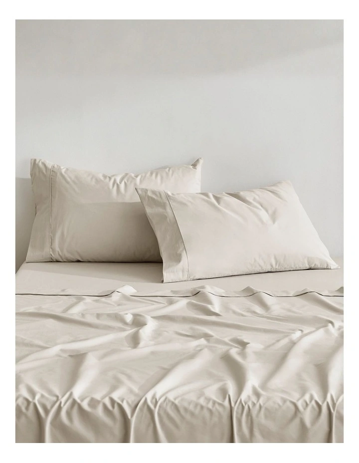 300TC Cotton Percale Standard Pillowcase  Twin Pack in Oat image 2