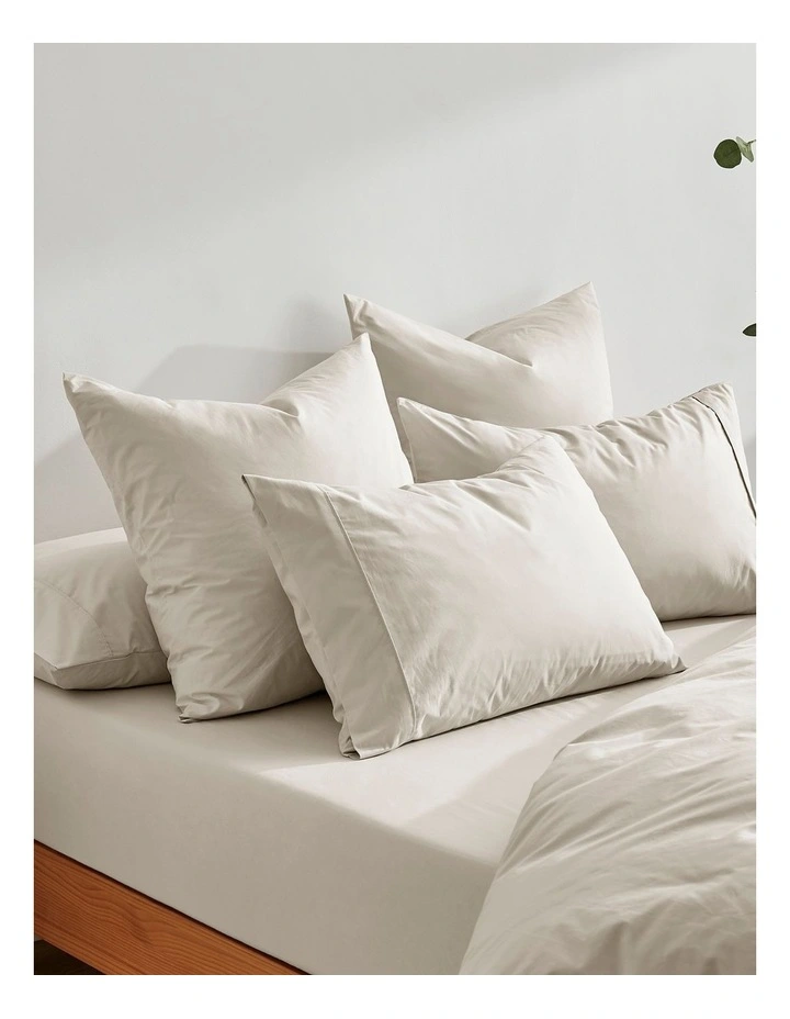 300TC Cotton Percale Standard Pillowcase  Twin Pack in Oat image 5