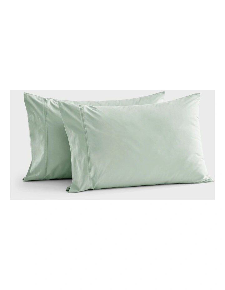 300TC Cotton Percale Standard Pillowcase  Twin Pack in Sage image 1
