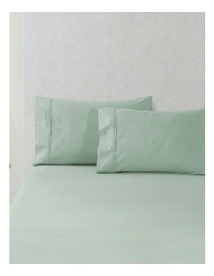 300 Thread Count Cotton Percale Standard Pillowcase Pack Of 2 in Sage