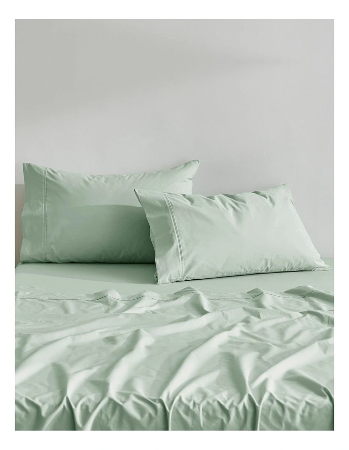 300TC Cotton Percale Standard Pillowcase  Twin Pack in Sage image 2
