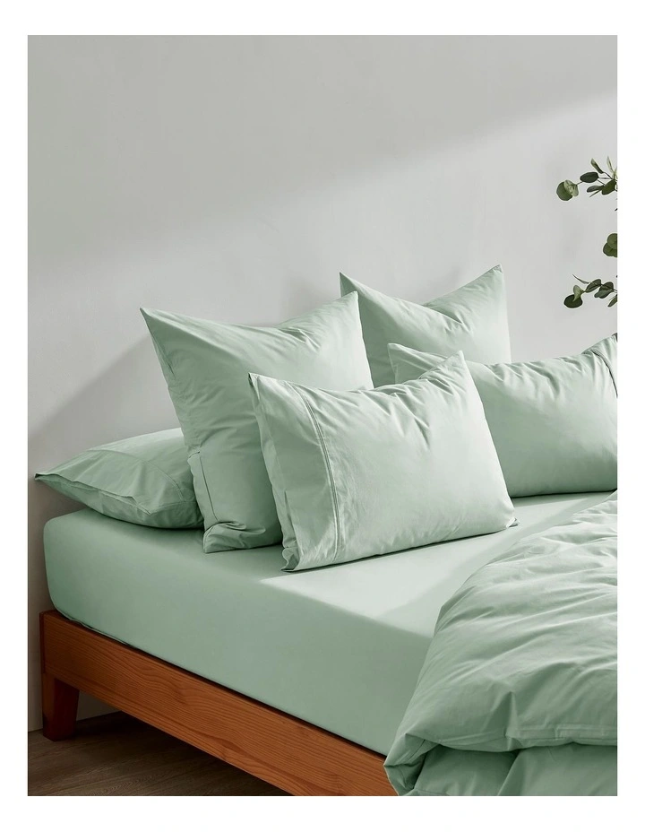 300TC Cotton Percale Standard Pillowcase  Twin Pack in Sage image 6
