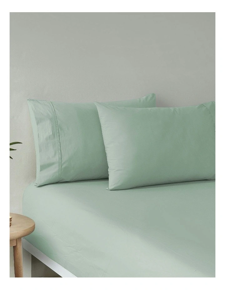 300 Thread Count Cotton Percale Standard Pillowcase Pack Of 2 in Sage image 6