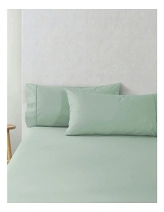 300 Thread Count Cotton Percale King Pillowcase Pack Of 2 in Sage
