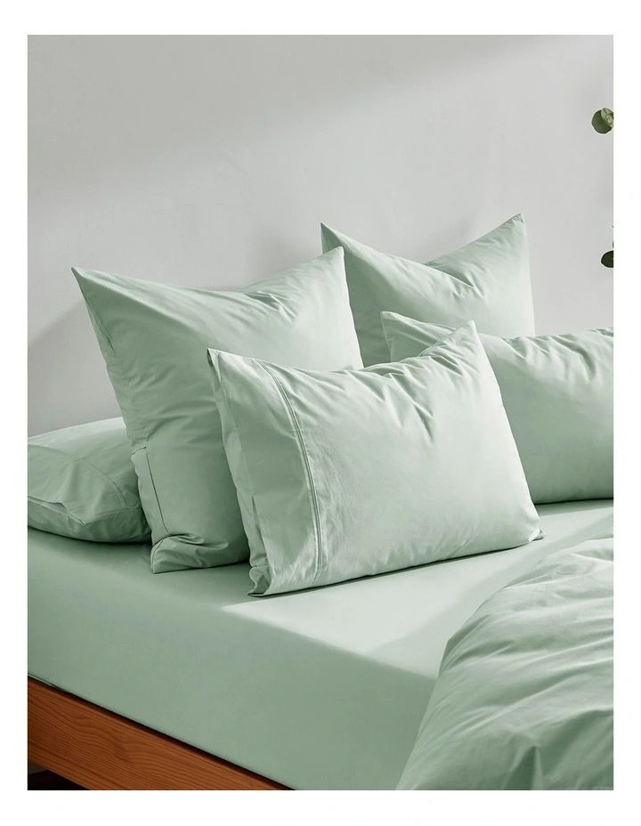 300TC Cotton Percale King Pillowcase  Twin Pack in Sage image 5