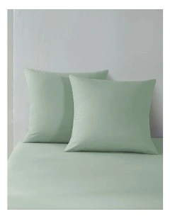 300 Thread Count Cotton Percale Euro Pillowcase Pack Of 2 in Sage