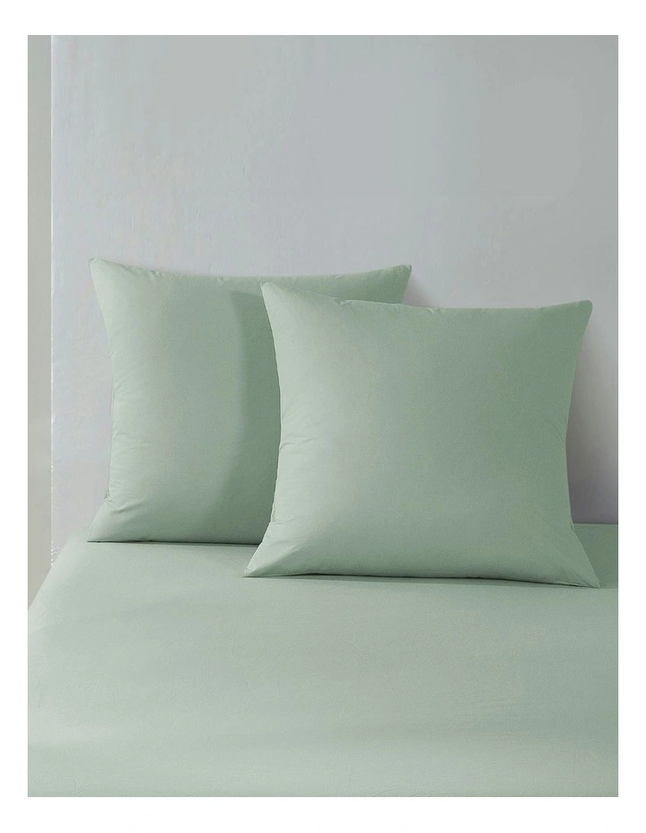 300 Thread Count Cotton Percale Euro Pillowcase Pack Of 2 in Sage image 1