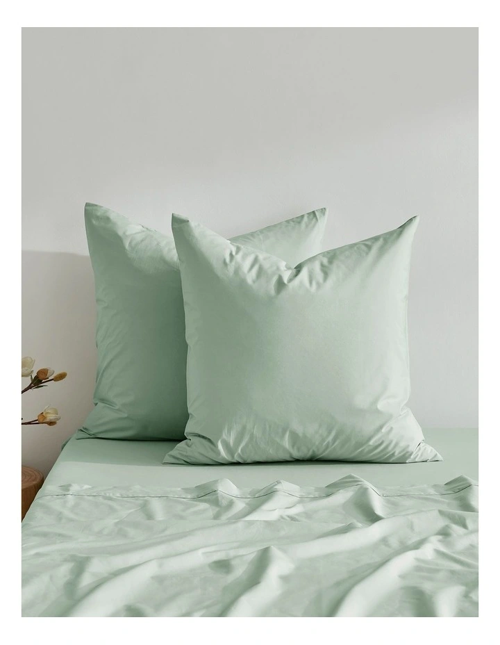 300TC Cotton Percale Euro Pillowcase  Twin Pack in Sage image 2