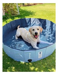 Splash Society Portable Foldable Dog Pool in Blue