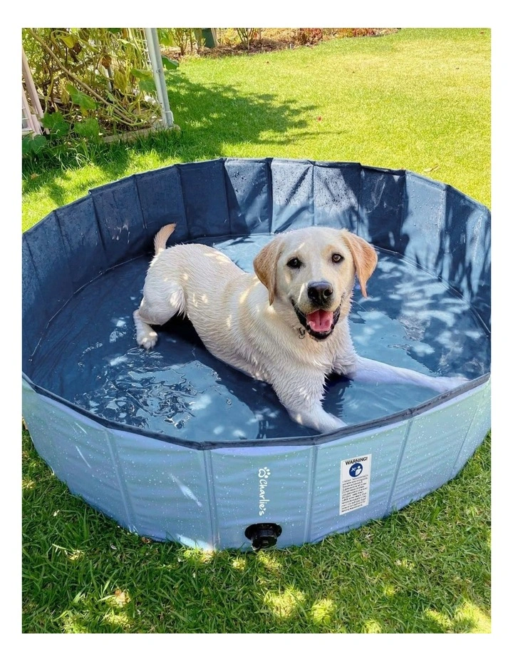 Splash Society Portable Foldable Dog Pool in Blue image 1