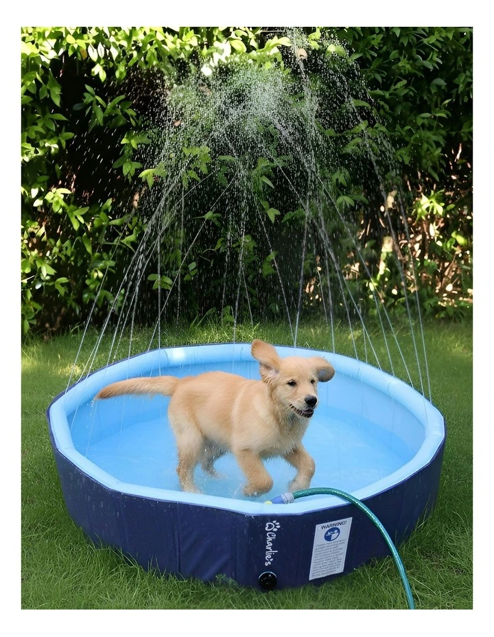 Splash Society Sprinkler Dog Pool image 2