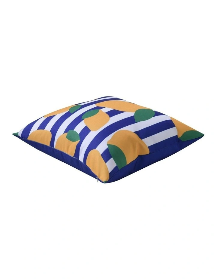 Limone Printed Outdoor Cushion 50 x 50cm in Blue image 3