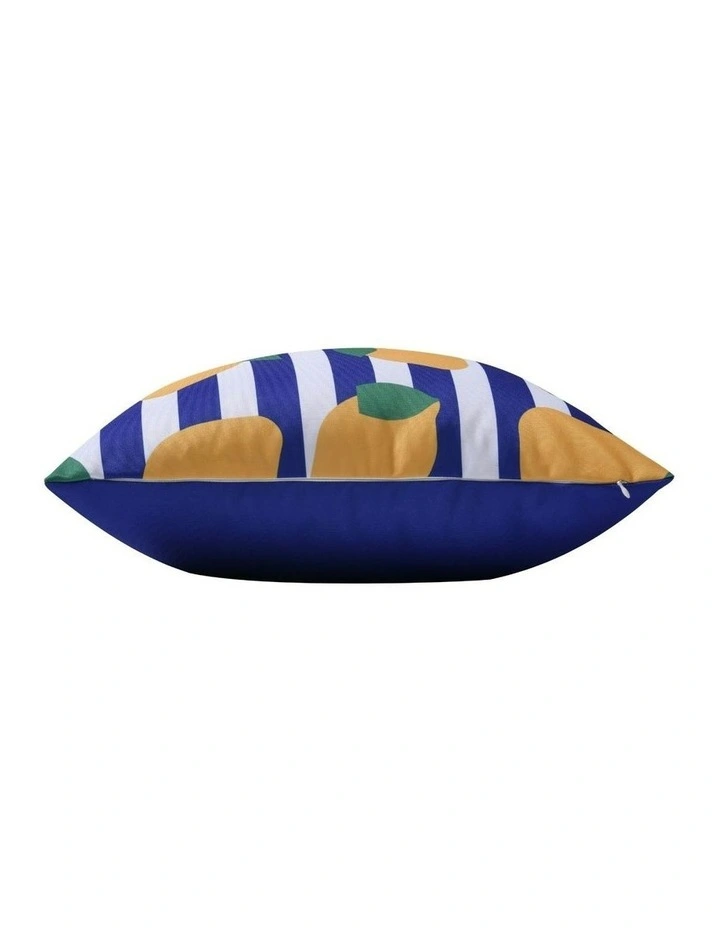 Limone Printed Outdoor Cushion 50 x 50cm in Blue image 4