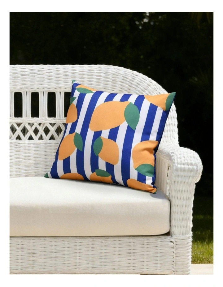 Limone Printed Outdoor Cushion 50 x 50cm in Blue image 7