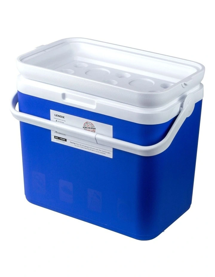 Portable Cooler Box Ice Chest for Picnic, Camping, Fishing, Caravan 33L in Multi image 4