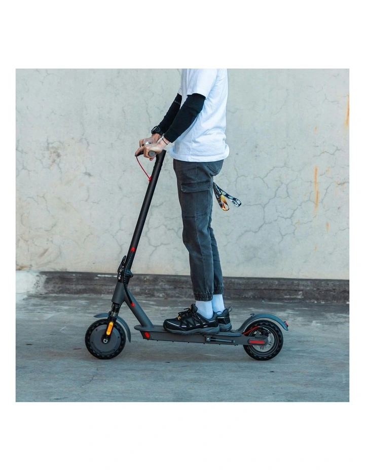 350W Motor Electric Scooter image 4