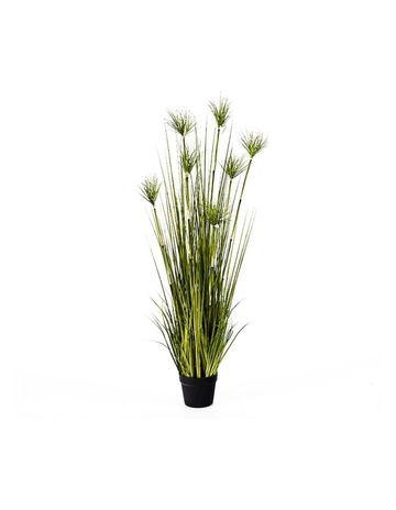 Potted Papyrus Artificial Plant 150cm in Multi