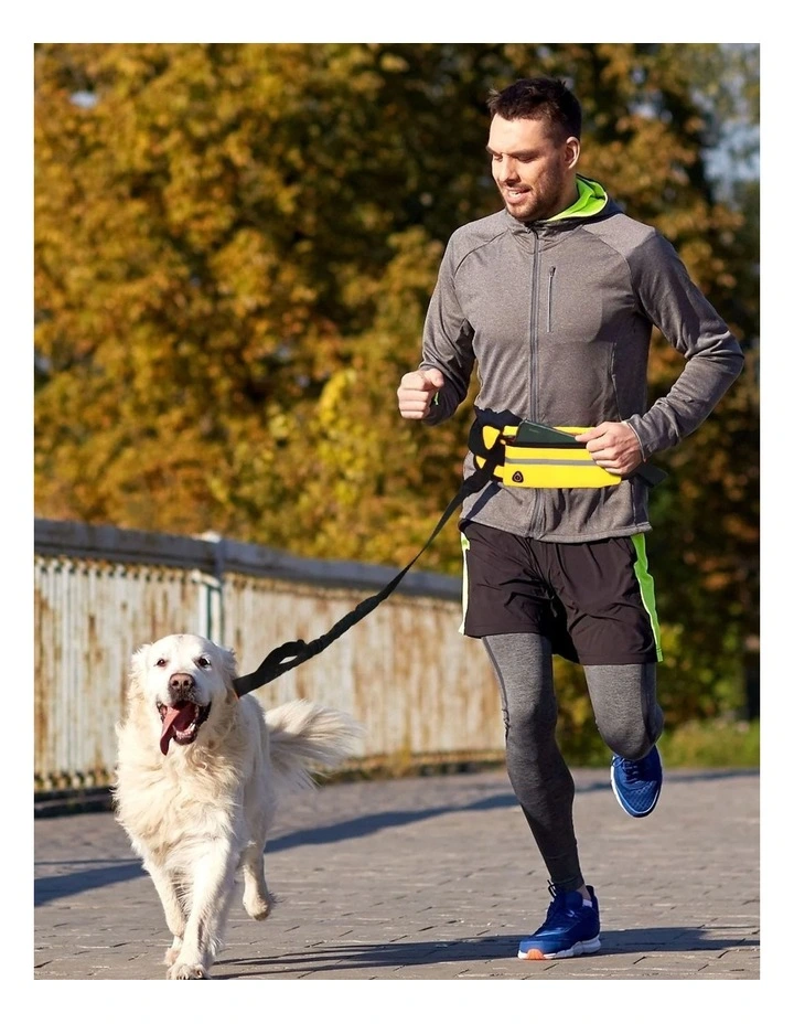 Adjustable Hands-Free Pet Leash Bag in Yellow image 2