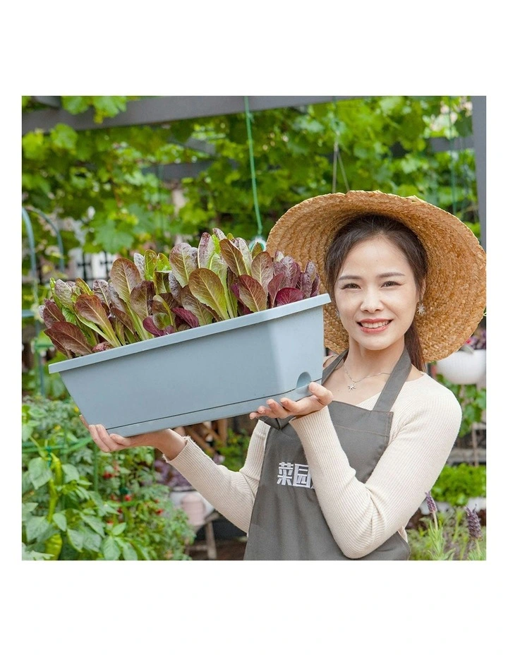 SOGA Blue Rectangular Planter Plastic Box With Holder Set Of 3 image 3