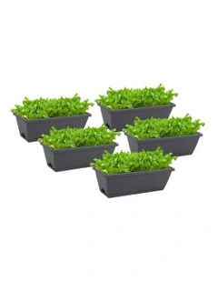 Rectangular Planter Plastic Box with Holder 49.5cm Set of 5 in Black