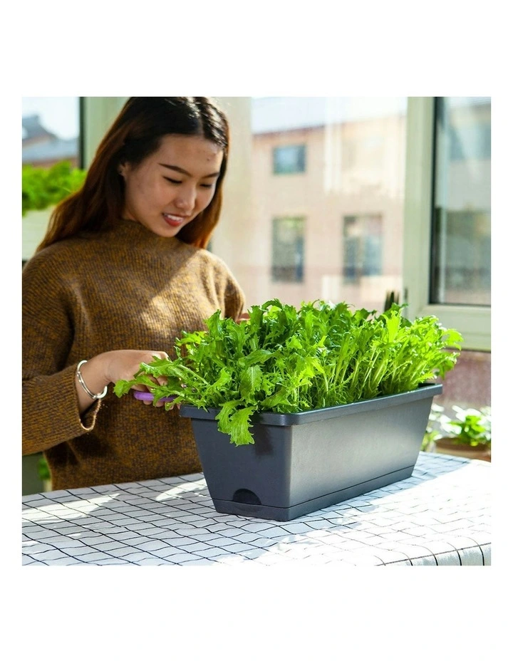 Rectangular Planter Plastic Box with Holder 49.5cm Set of 5 in Black image 4