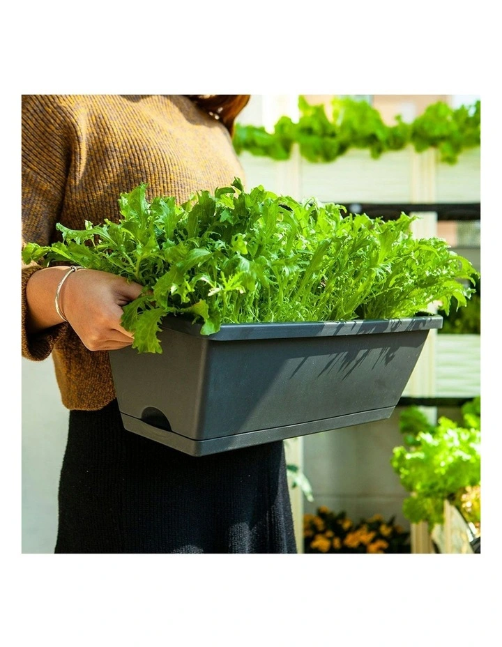 Rectangular Planter Plastic Box with Holder 49.5cm Set of 5 in Black image 7