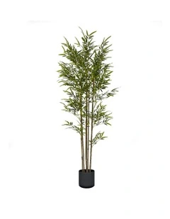 Bambusa Vulgaris Artificial Plant 180cm in Green