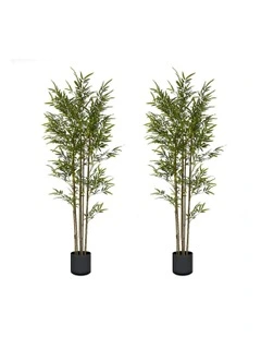 Lucky Bamboo Tree Bambusa Vulgaris Artificial Plant 2X 180cm