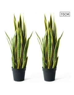 Edge Tiger Piran Artificial Plant 2x 70cm in Green