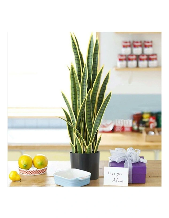 Edge Tiger Piran Artificial Plant 2X 95cm in Green image 7